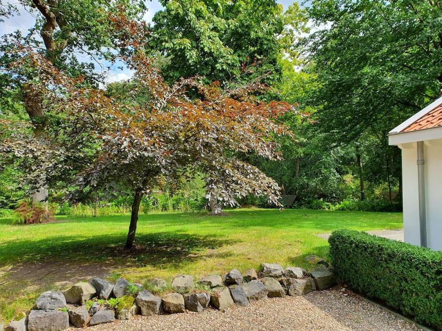 Midden In De Friese Bossen Op Landgoed Princenhof Ораньевуд Экстерьер фото
